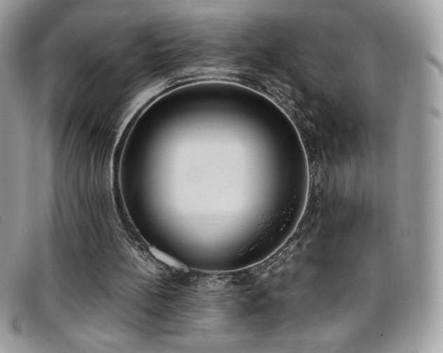 X0000095890148200801111203