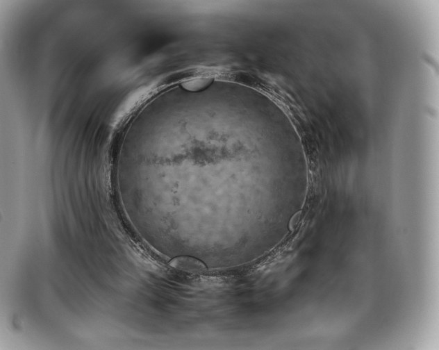 X0000095890149200801111203
