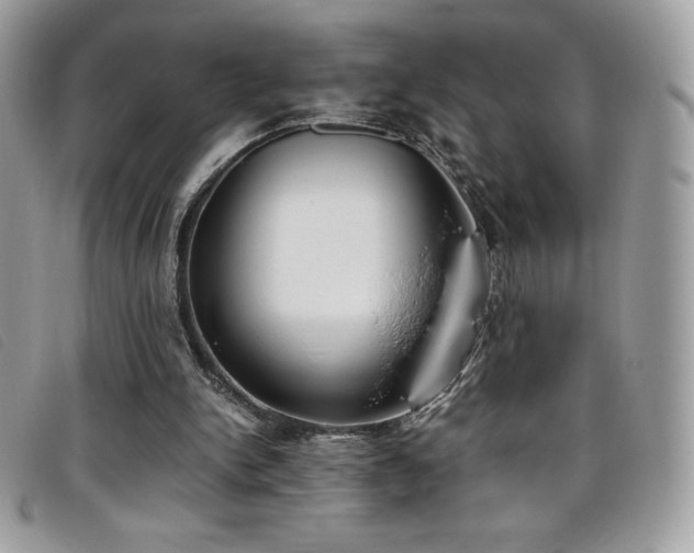 X0000095890150200801111203