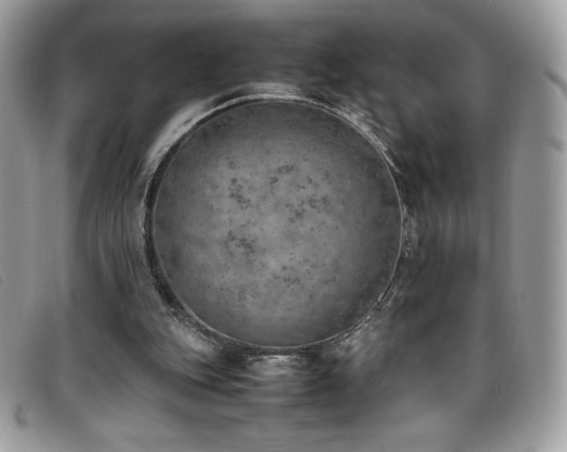 X0000095890151200801111203