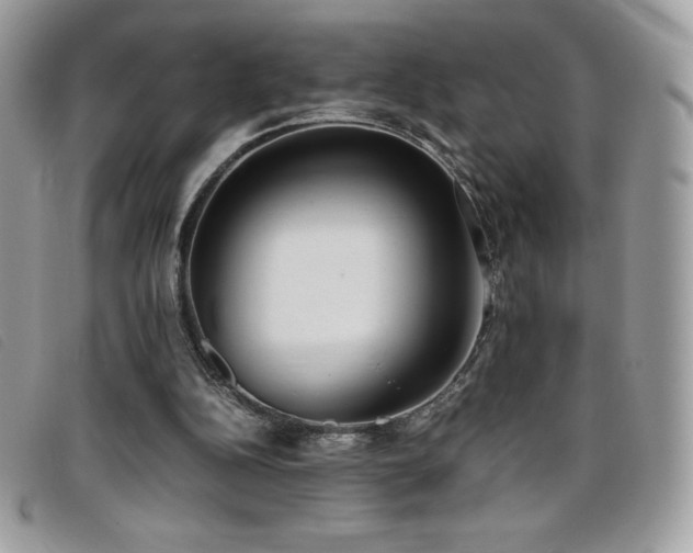 X0000095890152200801111203
