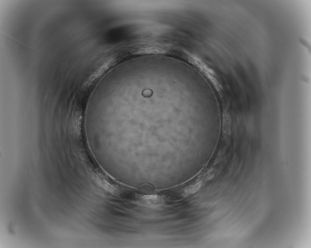 X0000095890153200801111203