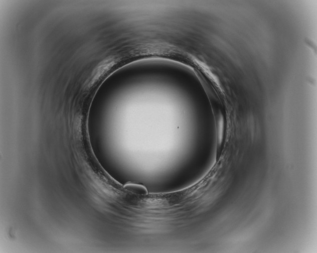 X0000095890154200801111203