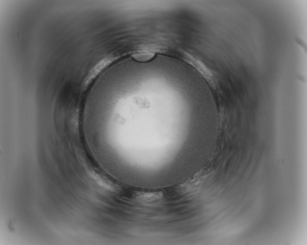 X0000095890155200801111203