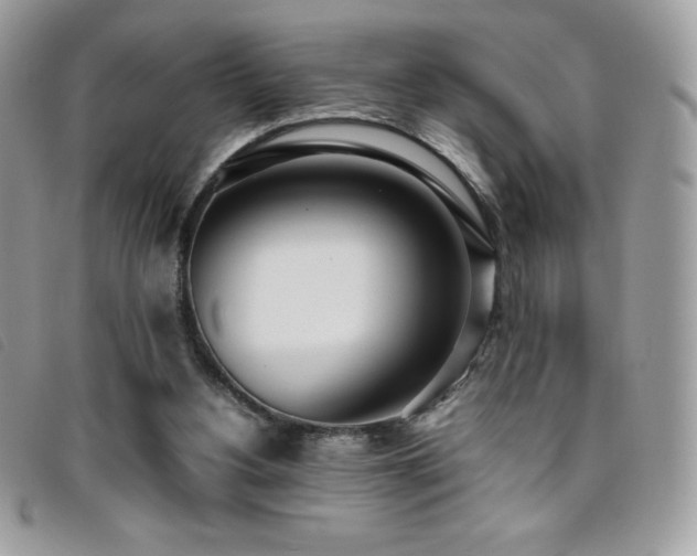 X0000095890156200801111203