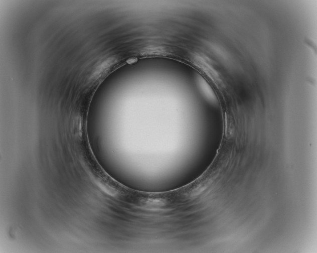 X0000095890157200801111203