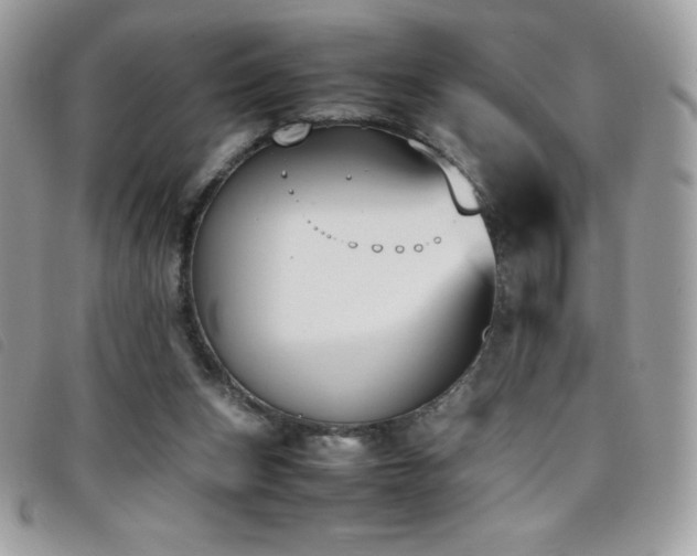 X0000095890159200801111203