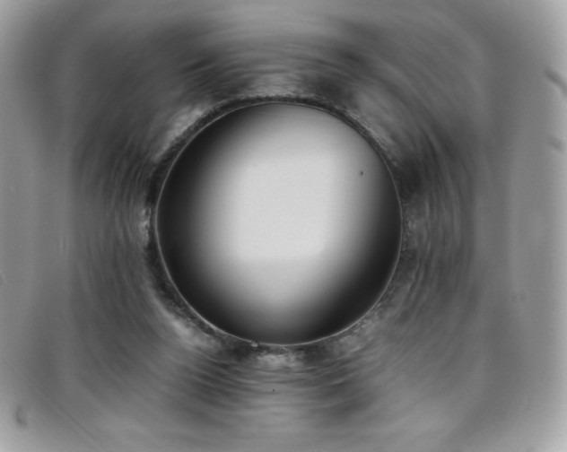 X0000095890160200801111203