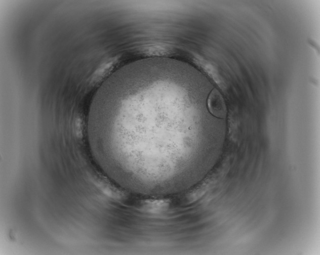 X0000095890161200801111203