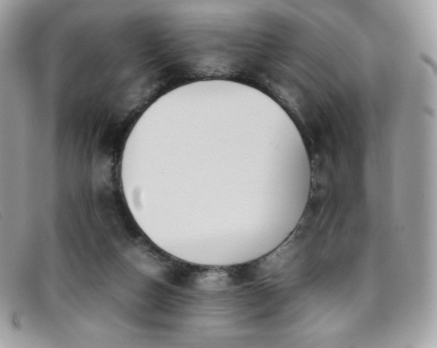 X0000095890162200801111203