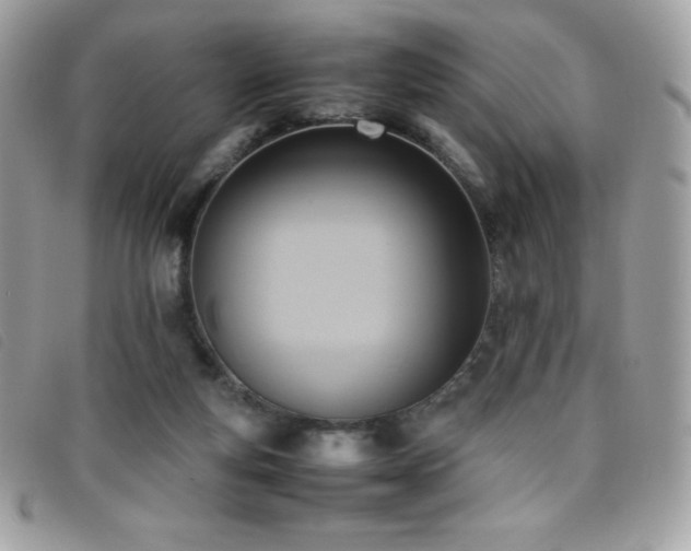 X0000095890163200801111203