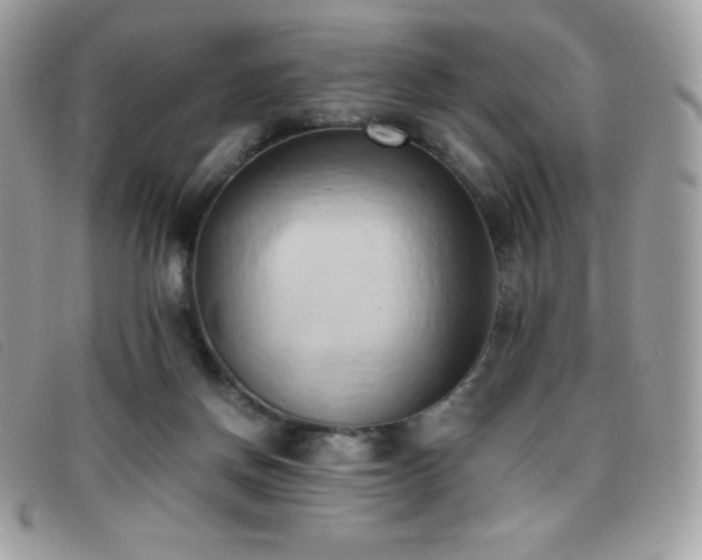 X0000095890166200801111203