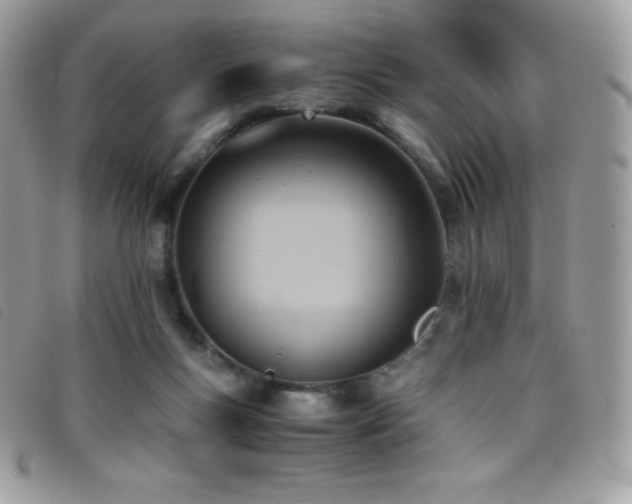 X0000095890167200801111203