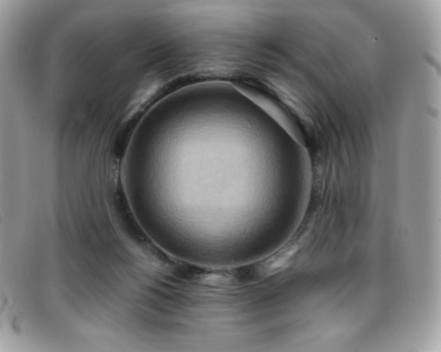 X0000095890168200801111203