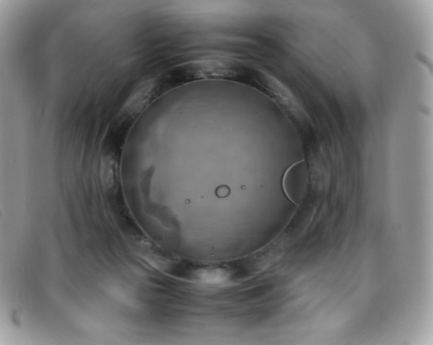 X0000095890169200801111203