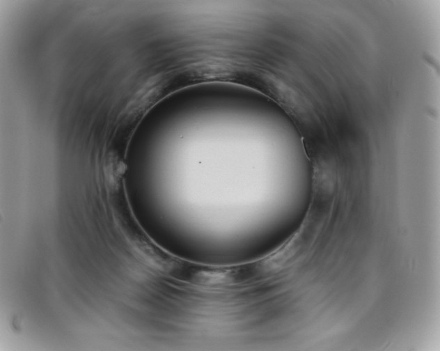 X0000095890170200801111203