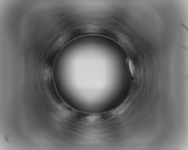 X0000095890172200801111203