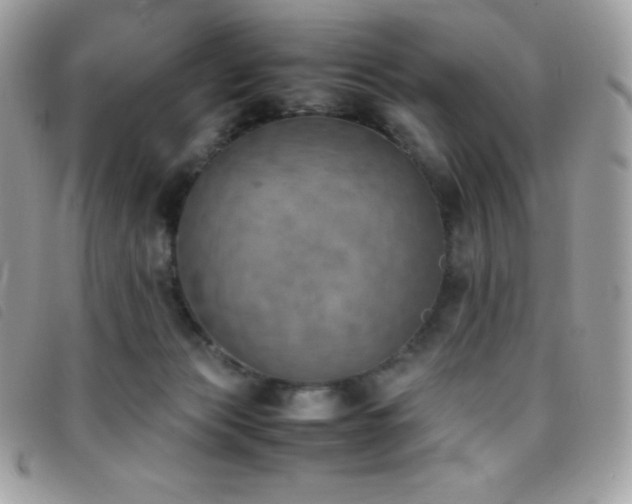 X0000095890173200801111203