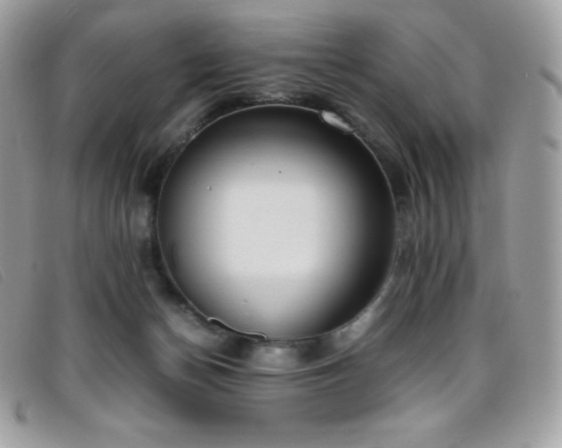 X0000095890174200801111203