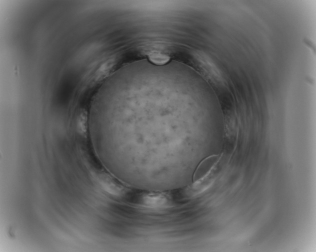 X0000095890175200801111203