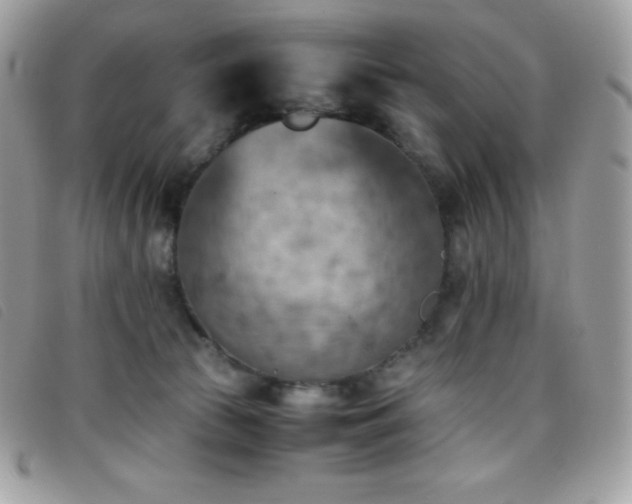 X0000095890177200801111203