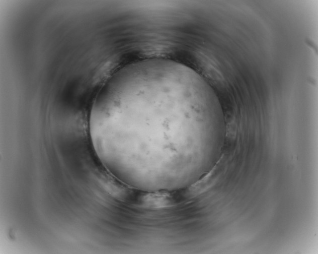 X0000095890179200801111203