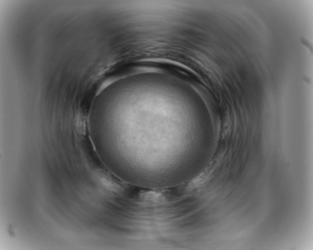 X0000095890180200801111203