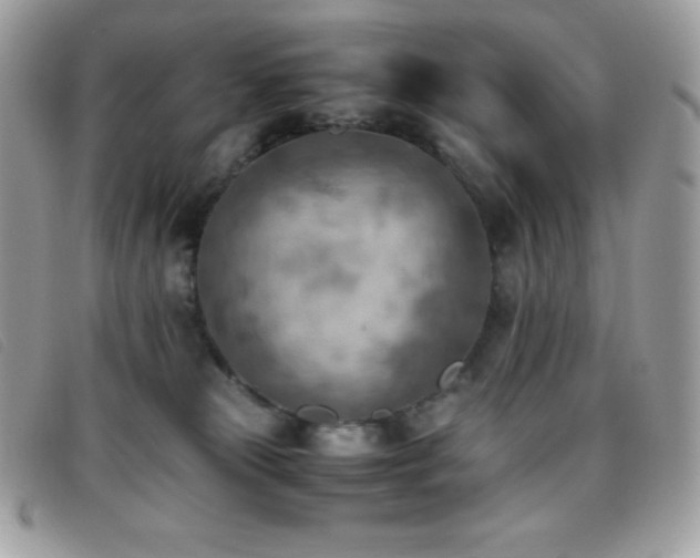 X0000095890181200801111203