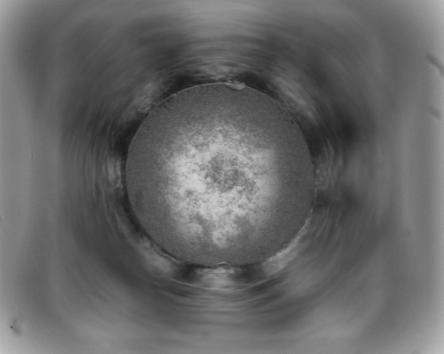 X0000095890182200801111203