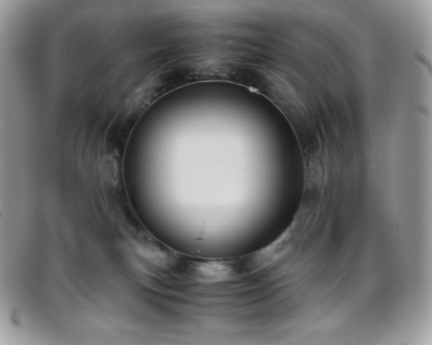 X0000095890183200801111203