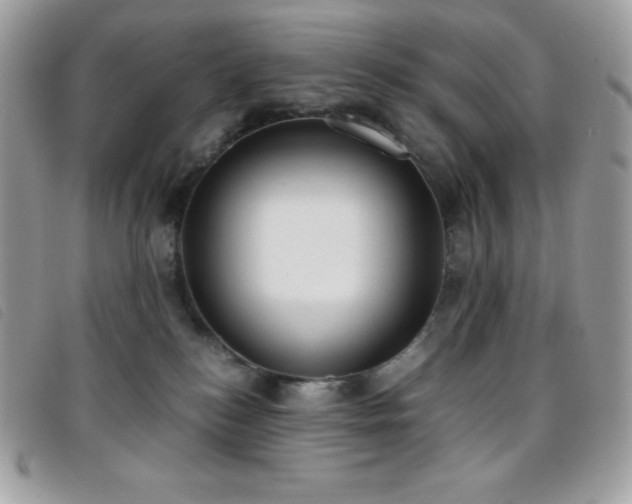 X0000095890184200801111203