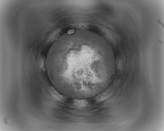 X0000095890185200801111203