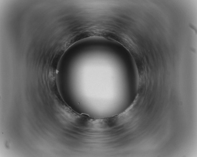 X0000095890186200801111203