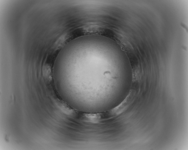 X0000095890187200801111203