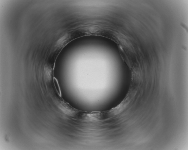 X0000095890188200801111203