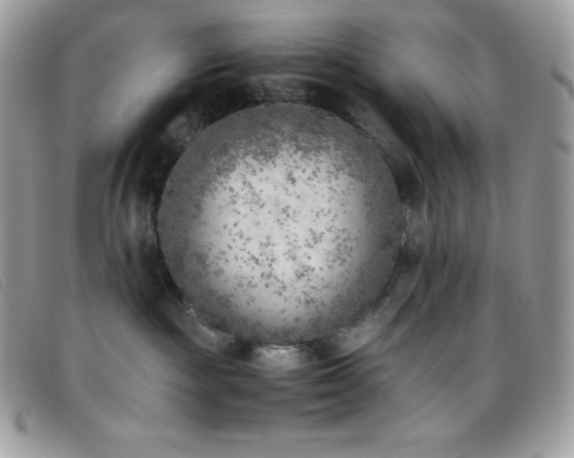 X0000095890189200801111203
