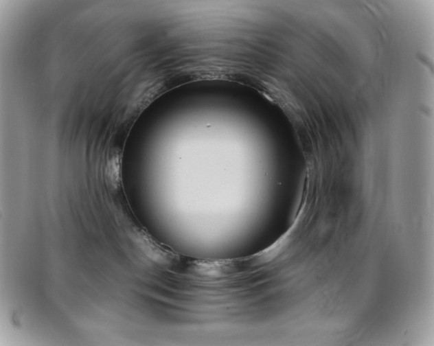 X0000095890190200801111203