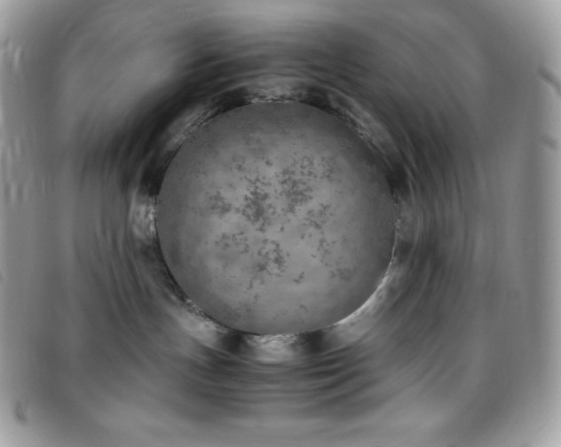 X0000095890191200801111203