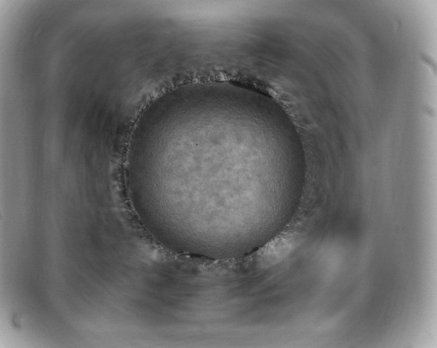 X0000095890192200801111203