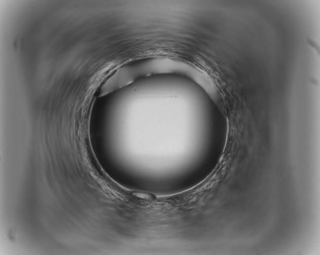 X0000095890193200801111203