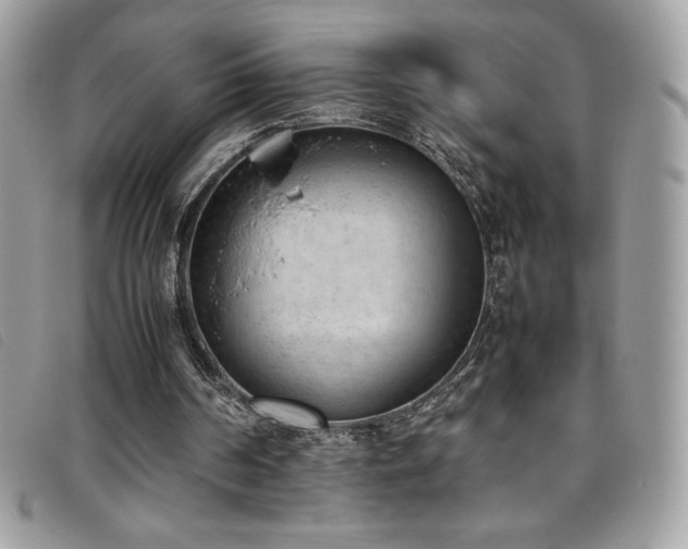 X0000095890194200801111203