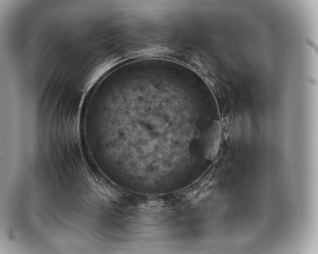X0000095890196200801111203
