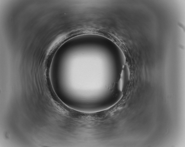 X0000095890197200801111203