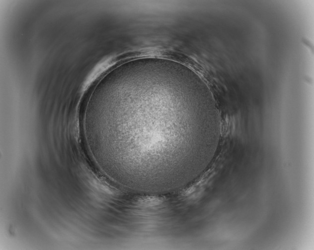 X0000095890198200801111203