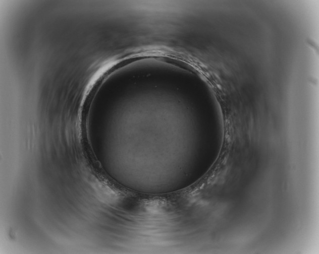 X0000095890200200801111203