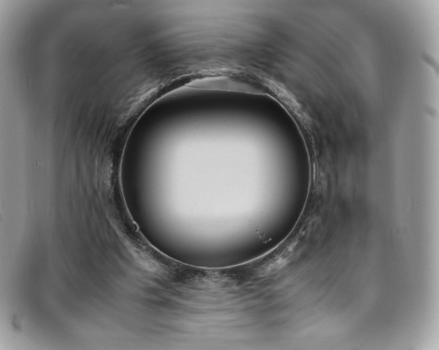 X0000095890201200801111203