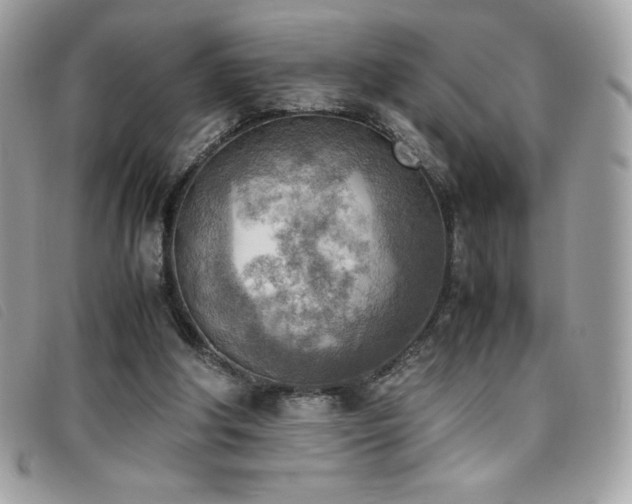 X0000095890202200801111203