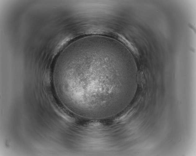 X0000095890203200801111203