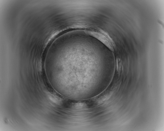 X0000095890204200801111203