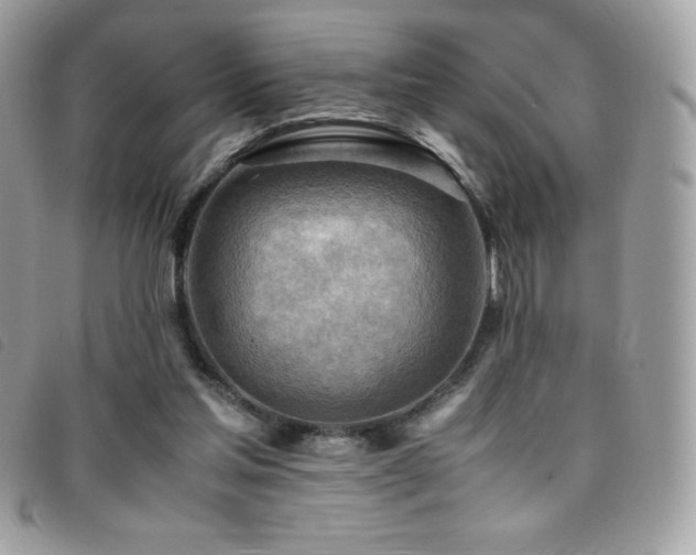 X0000095890205200801111202